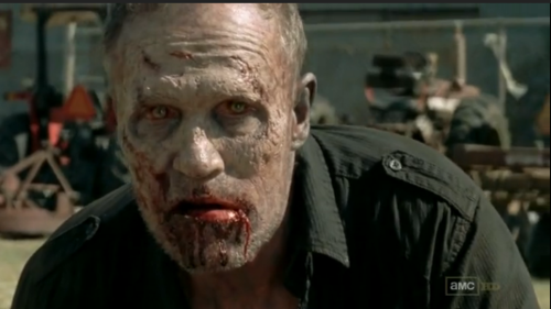 The-Walking-Dead-3x15-This-Sorrowful-Life-3