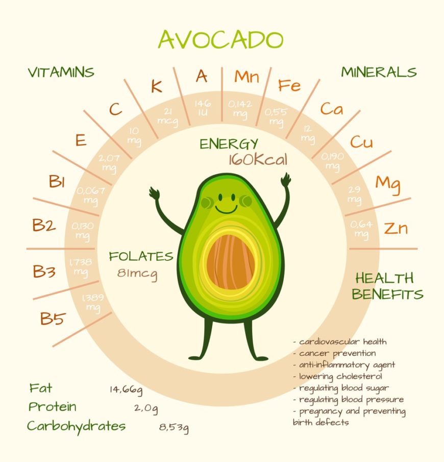 17-different-types-of-avocados