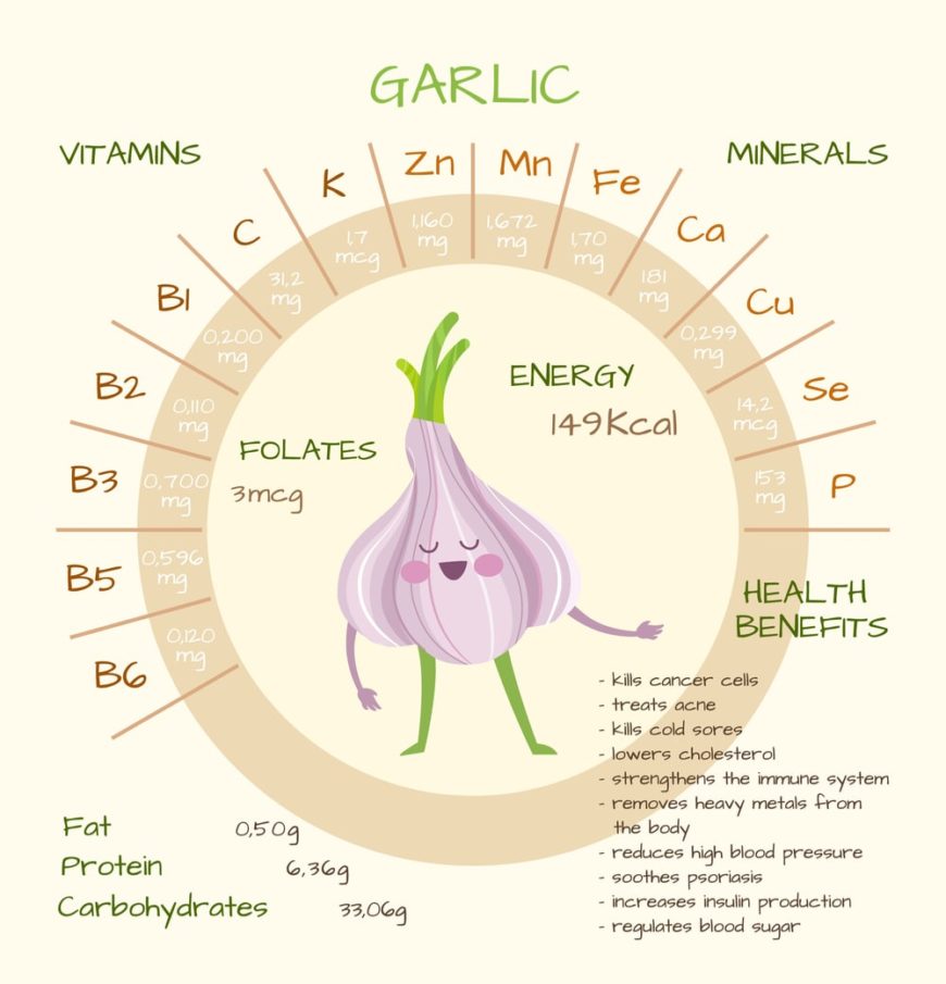 10-different-types-of-garlic