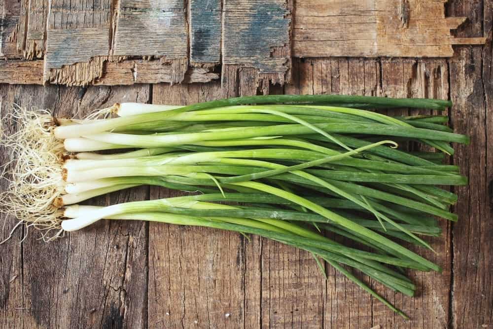 4-different-types-of-green-onions-popoptiq