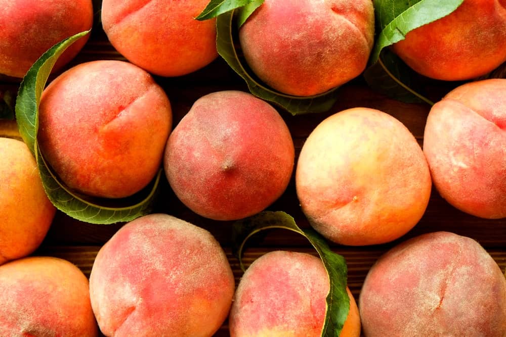 34 Different Types Of Peaches