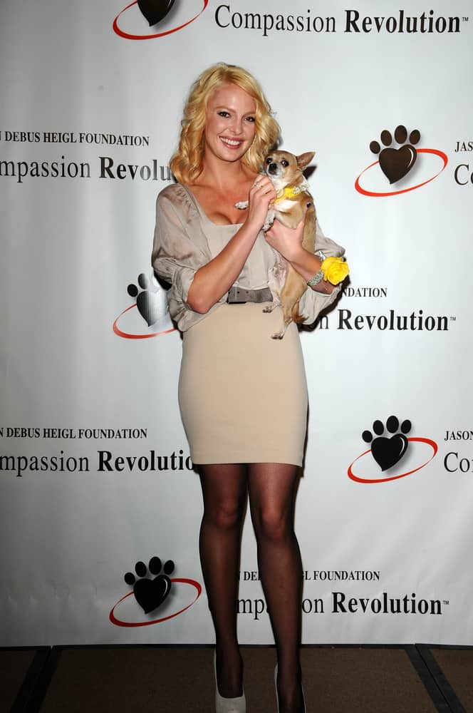 Katherine Heigl with a cute pup at a Press Conference For JDHF Animal Advocacy.