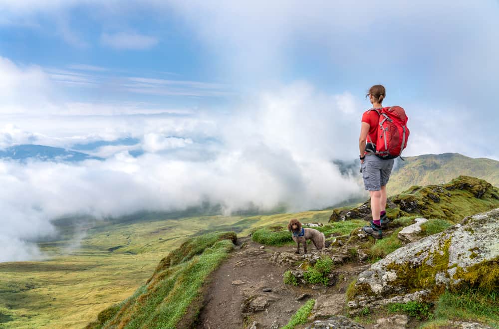 Hiker with her dog at the viewpoint from the summit of Meall Garbh.